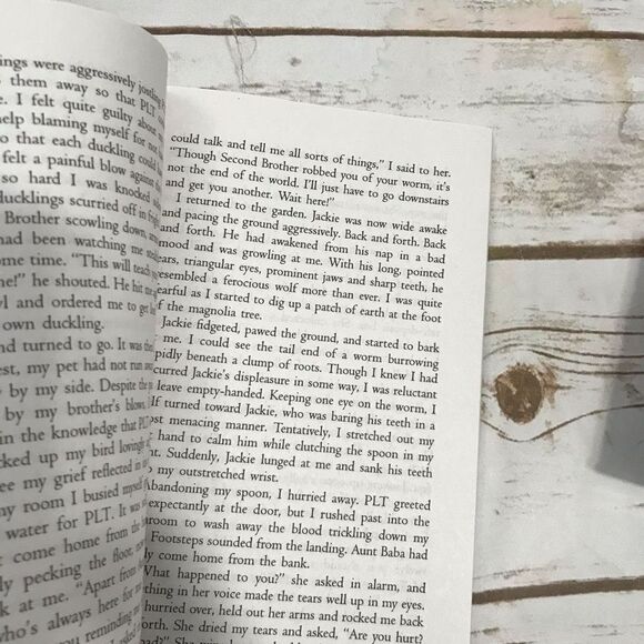 Chinese‎ Cinderella Novel Book Chapter Book Young Adult - Picture 6 of 7